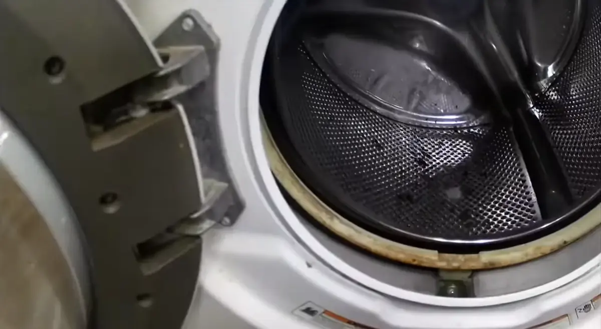 Front load washer door seal with mold buildup from Bradenton humidity
